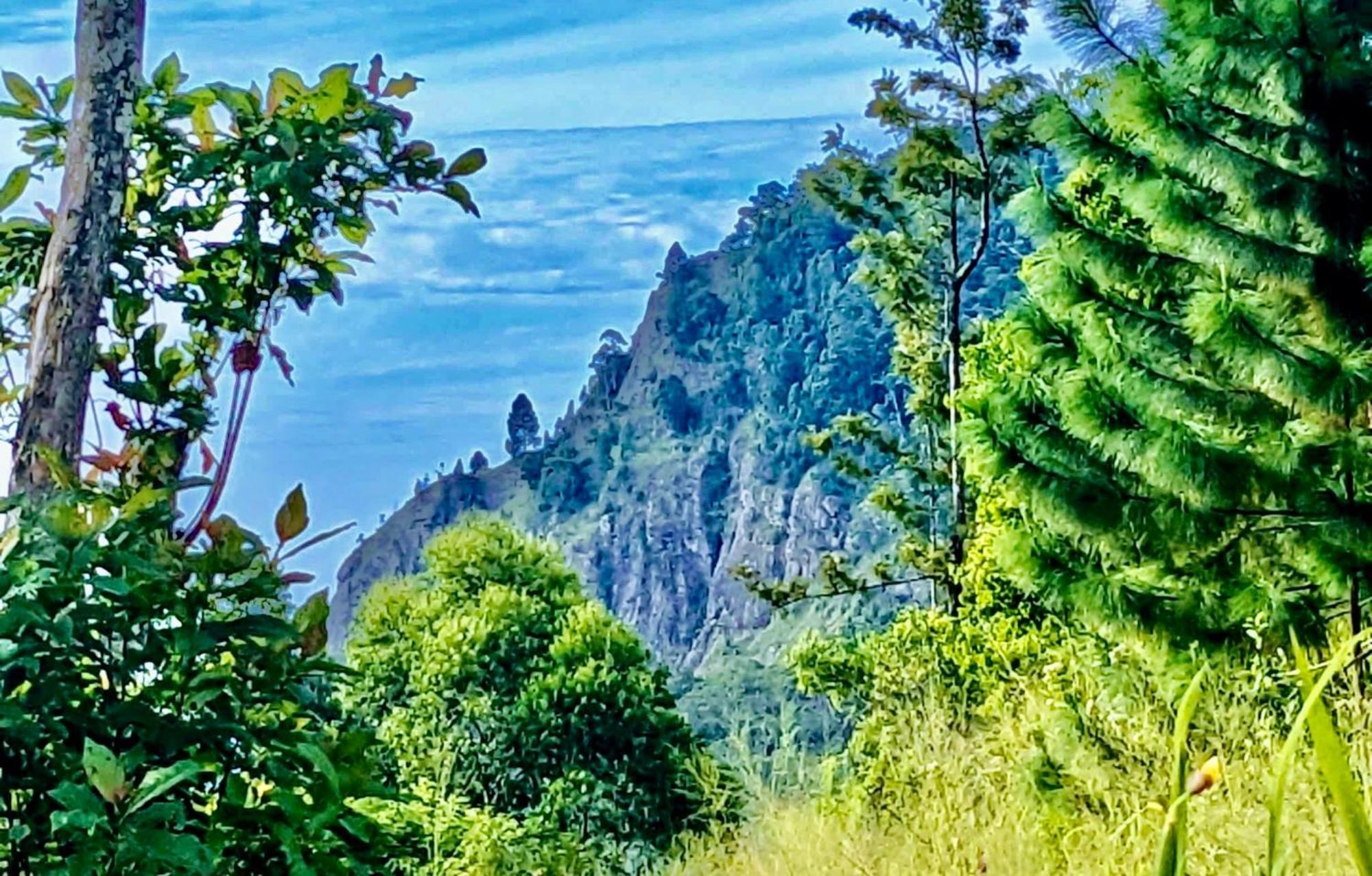 Bed and Breakfast Mountain Peak Елла Екстер'єр фото